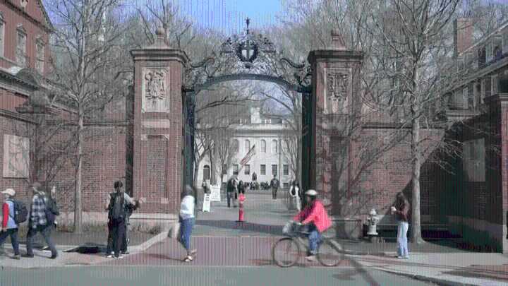 How Harvard’s international students are affected by Trump order