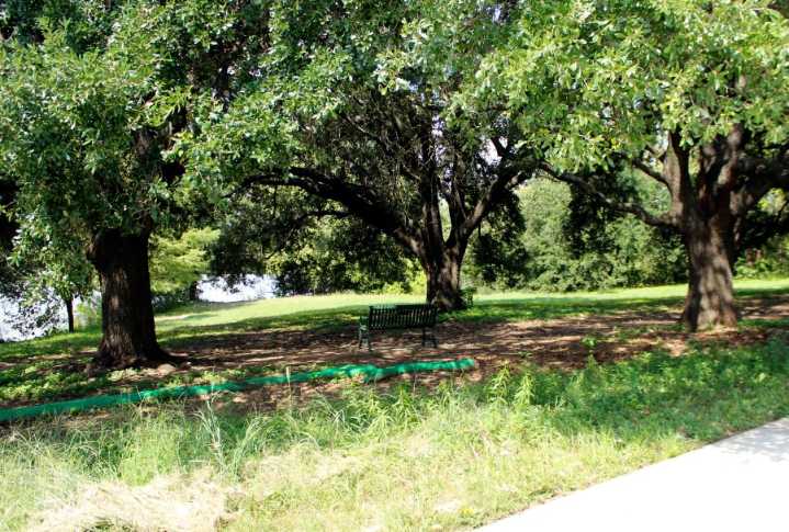 Shade in Austin: Is it the same for everyone?
