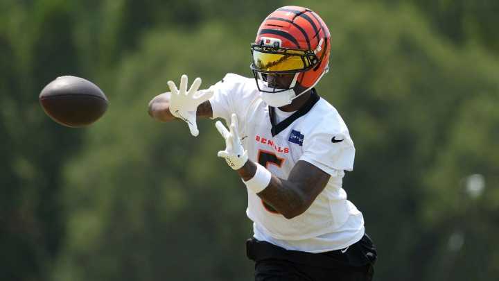 Bengals' Tee Higgins says he plans on staying healthy this season