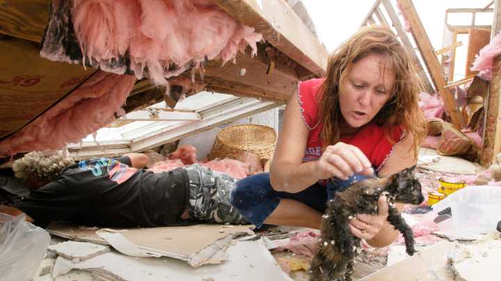 Here's how you should plan for your pets before a hurricane arrives