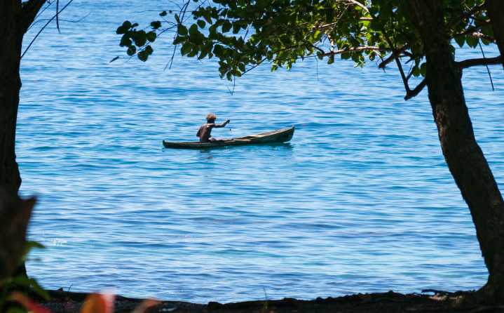 Lifeblood For Pacific Islands Threatened As Warming Ocean Drives Tuna East