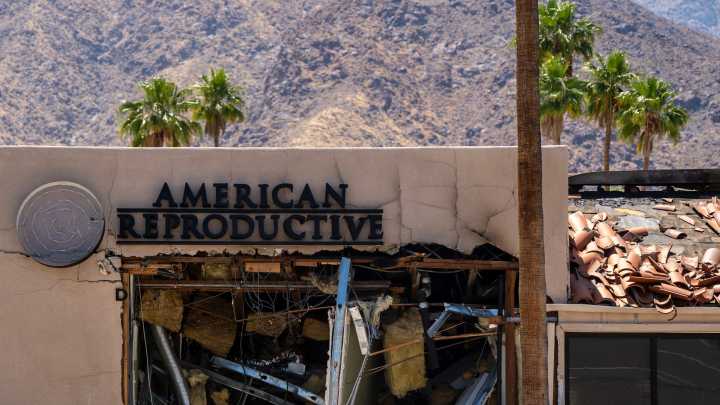 Read complaint against Washington man linked to Palm…