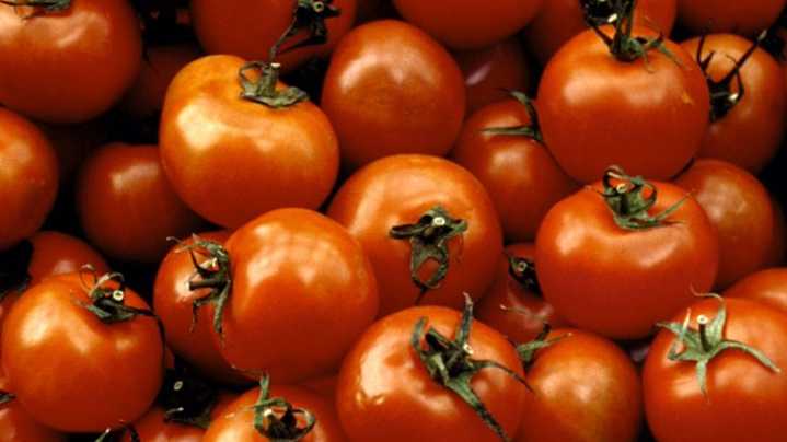 FDA elevates tomato recall over potential salmonella contamination