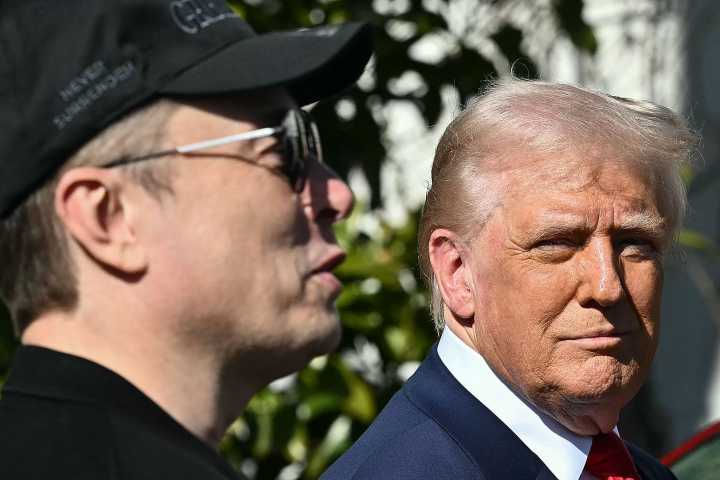 Elon Musk vs. Donald Trump: On MAGA Twitter, there was a clear winner.