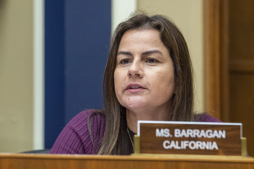 CA Democrat claims ICE agents were first to ‘escalate the situation’ amid LA riots