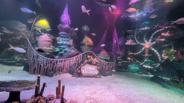 SEA LIFE Florida opens at Legoland