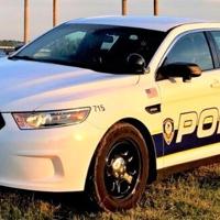 Mount Pleasant cop's boyfriend dies after domestic dispute