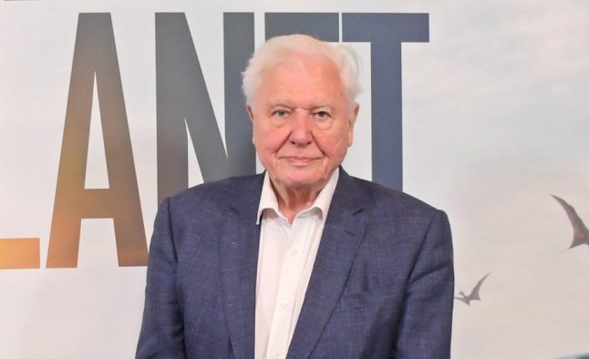 Sir David Attenborough almost killed by faulty scuba diving equipment