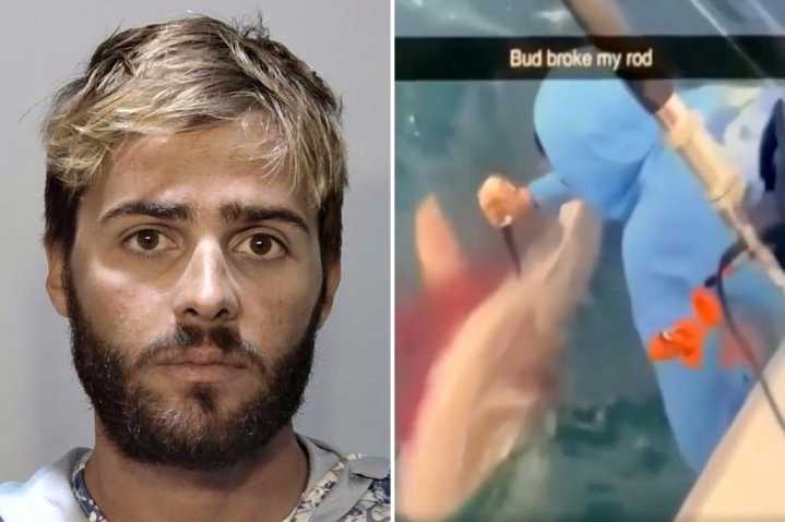 Florida man arrested for repeatedly stabbing shark in head as 'revenge' for stealing fish after gory video goes viral