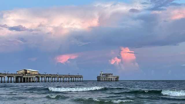 One year after shark attack, communities working to set up alerts