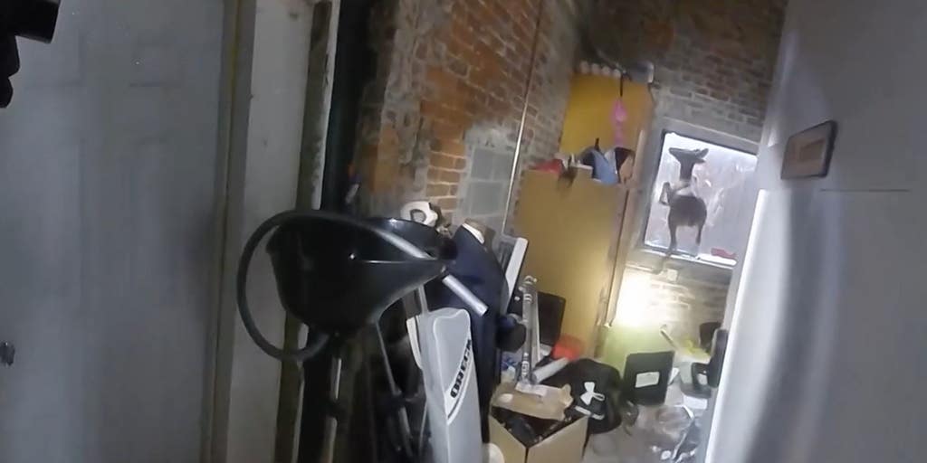 VIDEO: Deer breaks into, destroys Iowa hair salon