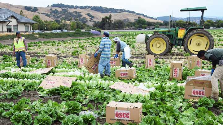 Farming Regulation Costs Rise 1,300% Since 2006: Cal Poly