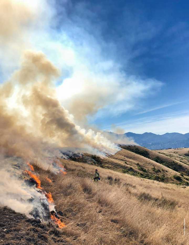 Prescribed Fire on Beale Air Force Base today, June 3