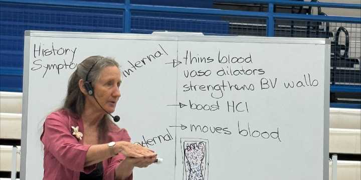 Natural medicine expert Barbara O’Neill comes to Kentucky