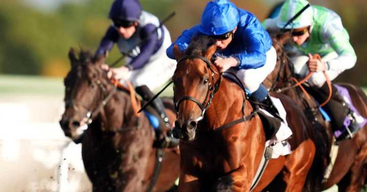 Tornado Alert has Bin Suroor hopeful he can take Epsom by storm