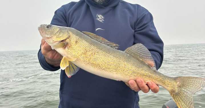 The Peluso Report: Winds Whip Up DL Walleyes