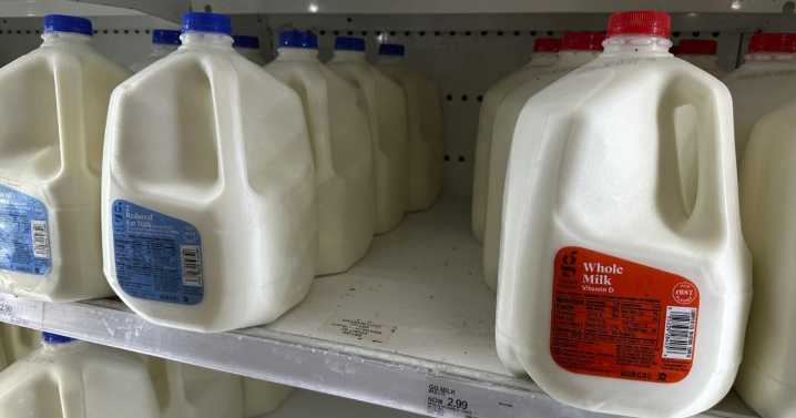 Sen. Justice co-sponsors bill to put whole milk back in school cafeterias