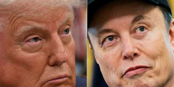 The only Trump-Musk feud timeline you'll need