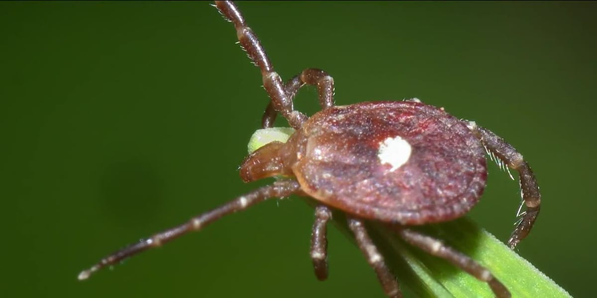 Tennessee law now requires doctors report Alpha Gal, meat allergy disease caused by tick bites