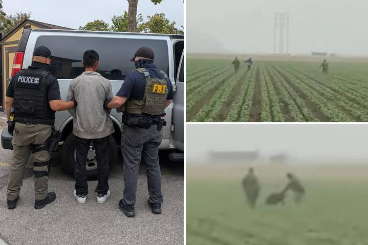 ICE agents chase farmworkers during latest raid in California: video