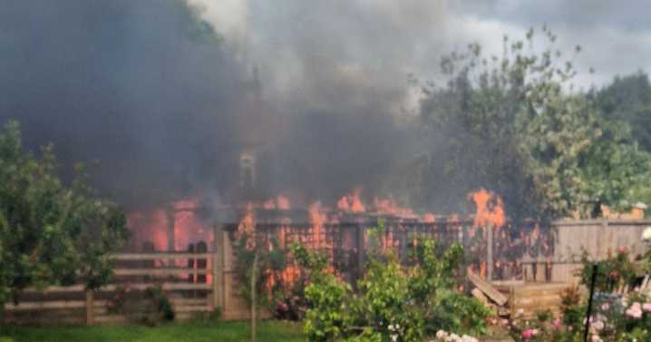 'Extremely sad day' as donkey stable lost in fire