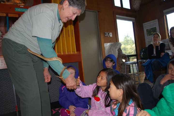 Volunteers can train to be docents with Midpen