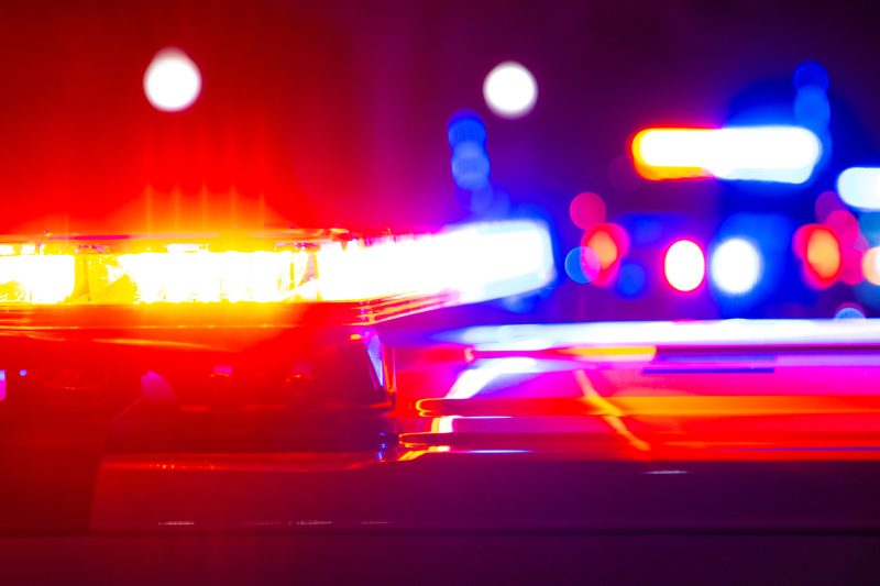 Pedestrain struck by SUV near Flamingo, Lindell