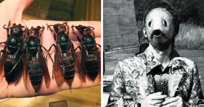 60 Photos So Disturbing They Might Make You Sleep With The Lights On (New Pics)