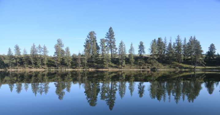 Land, mobile homes, city center condos see largest increases in value in Spokane County this year
