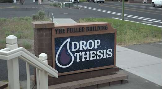 Drop Thesis holds event to focus on ‘Men, Mushrooms and Meaning’