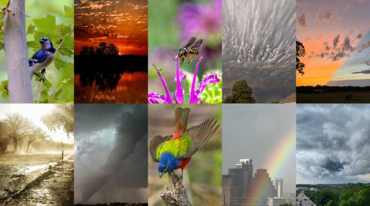 Photo of the Month: Help us choose the best viewer photo of May 2025