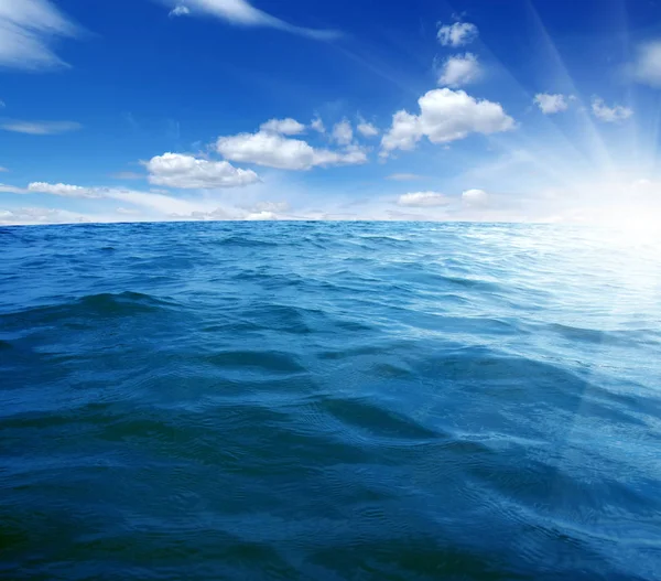 Did you know the ocean produces over 50% of the oxygen we breathe and absorbs 30% of the CO₂ we emit?