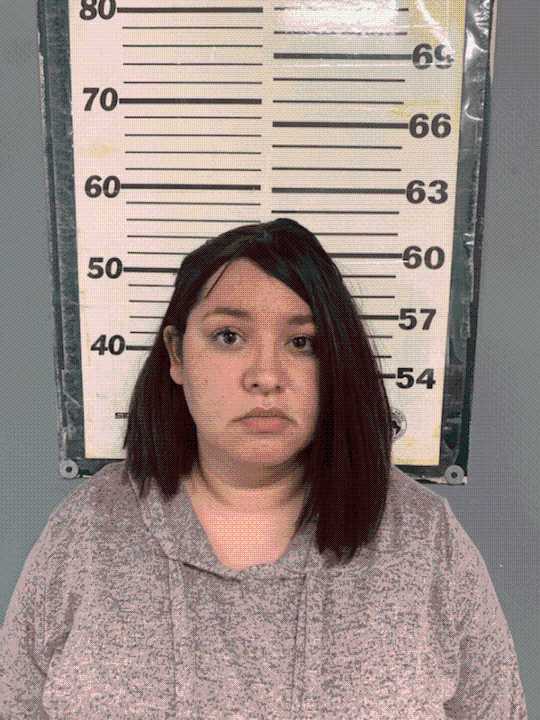 Mother of boy starved to death pleads guilty, will serve 20 years