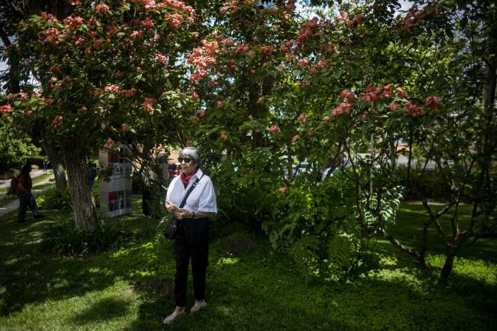 Venezuela celebra la 'Caracas Design Week' para contribuir con el desarrollo social