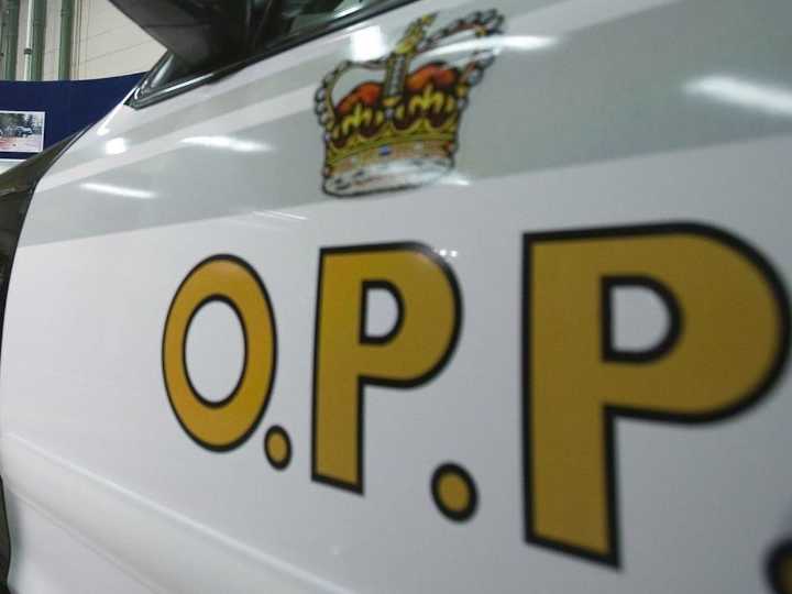 Undercover cops nab 36 Ontario men, aged 18 to 73, in child luring probe