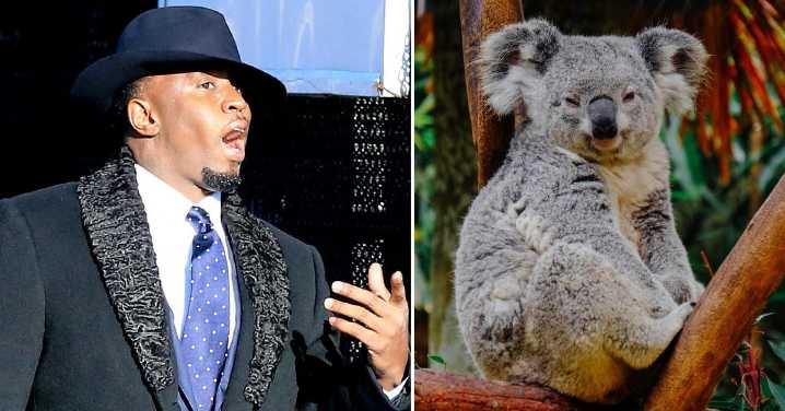 Sean 'Diddy' Combs Whines Court Sketches Make Him Look Like a Koala