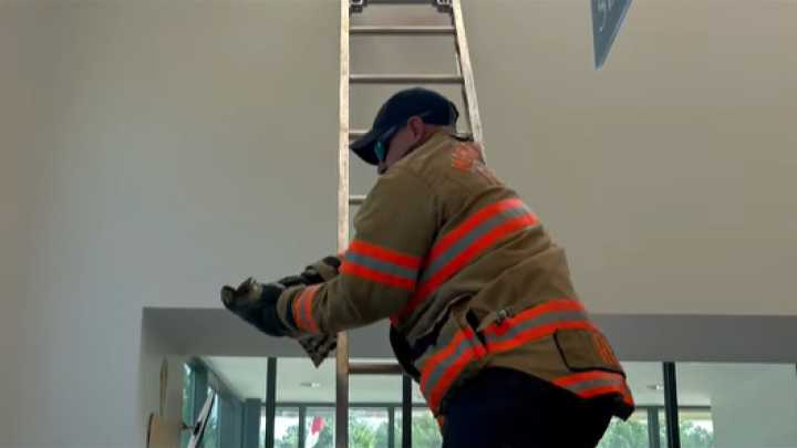Police officers, firefighters rescue hawk from N.C. library