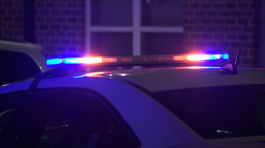 Man caught with meth while dumpster diving for 'raccoon friend' in Nashville alleyway, police say