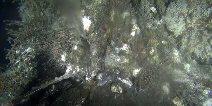 Live video awaits moment of possible underwater volcanic eruption off Oregon coast