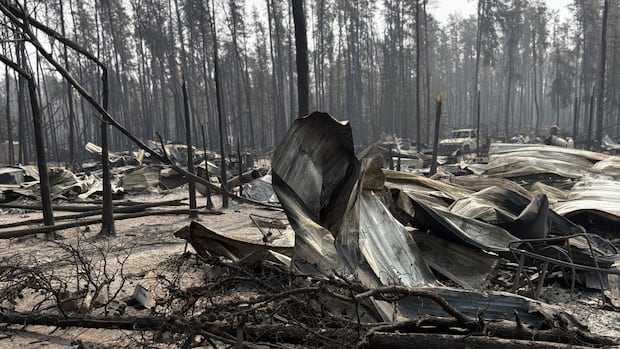 Cabin owner documents 'haunting' destruction of East Trout Lake, Sask., by wildfire