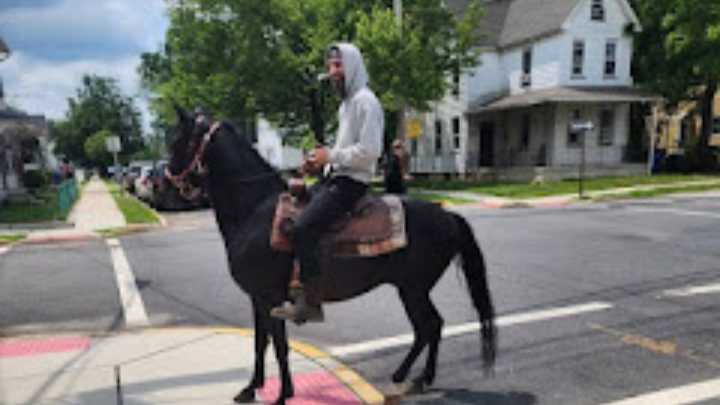 New Jersey horseback rider helps nab alleged hit