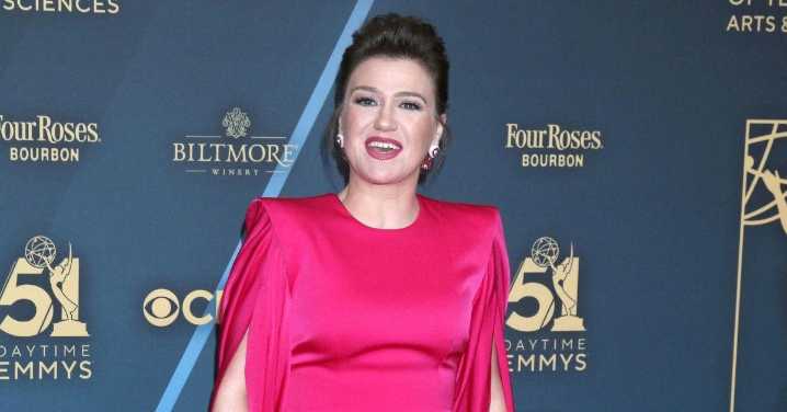 Kelly Clarkson Slammed For Fat Comments As Talk Show Career 'Tanks'