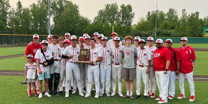 7 Michiana-area high school baseball teams win sectional titles