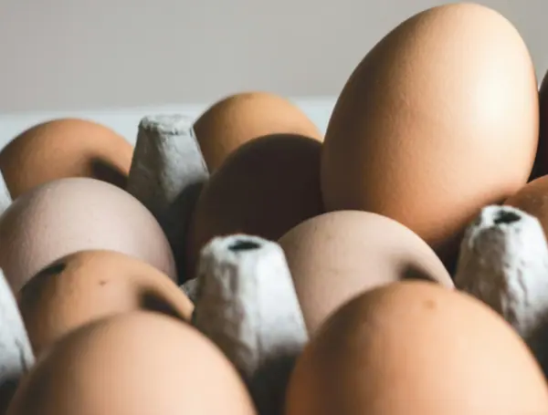 Corporate Media Thought They Had Trump On Ropes Over Eggs — It Quickly Blew Up In Their Faces