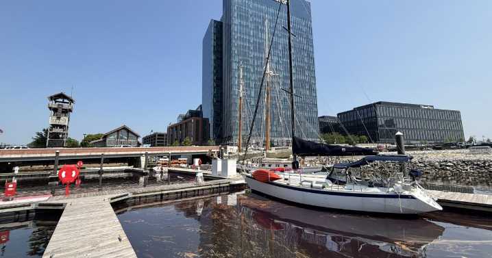 Cleanup efforts continue after 2,000 gallon diesel fuel spill in Baltimore's harbor