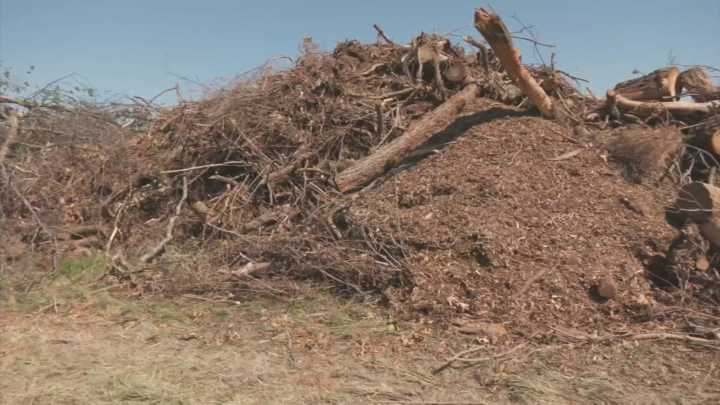 Bartlesville extends storm debris drop-off site for tree cleanup