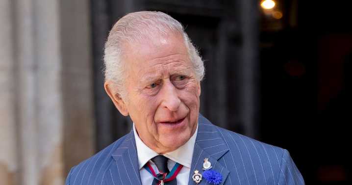 King Charles fires gun showing off 'faultless' technique