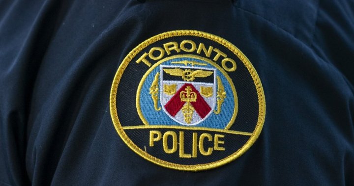 Woman dragged into woods at High Park and sexually assaulted: Toronto police