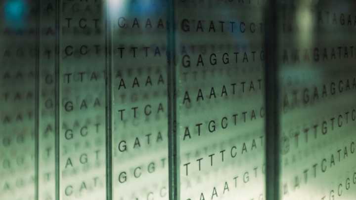 NIH’s Human Genome Project archives are at risk of disappearing
