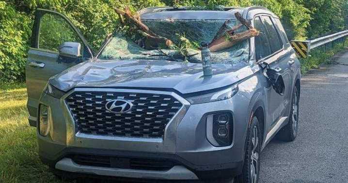 Two injured after 70-foot tree falls across Hwy. 27 onto traffic